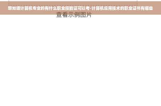 想知道计算机专业的有什么职业技能证可以考-计算机应用技术的职业证书有哪些