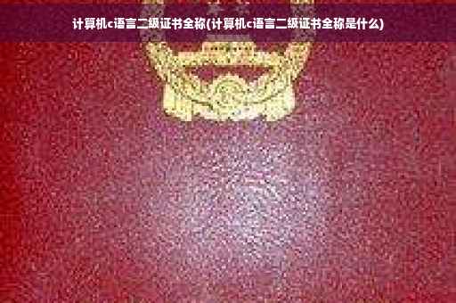 计算机c语言二级证书全称(计算机c语言二级证书全称是什么)