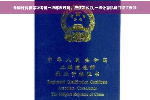 全国计算机等级考试一级都没过啊，应该怎么办,一级计算机证书过了没领