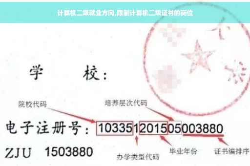 计算机二级就业方向,限制计算机二级证书的岗位