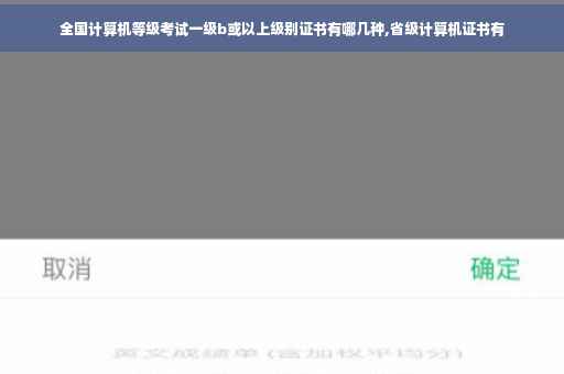 全国计算机等级考试一级b或以上级别证书有哪几种,省级计算机证书有