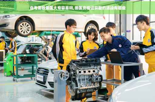 自考畜牧兽医大专容易吗,兽医资格证获取的途径有哪些