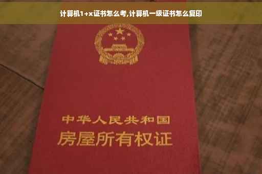 计算机1+x证书怎么考,计算机一级证书怎么复印