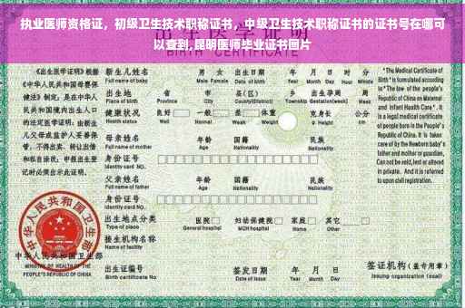 执业医师资格证，初级卫生技术职称证书，中级卫生技术职称证书的证书号在哪可以查到,昆明医师毕业证书图片