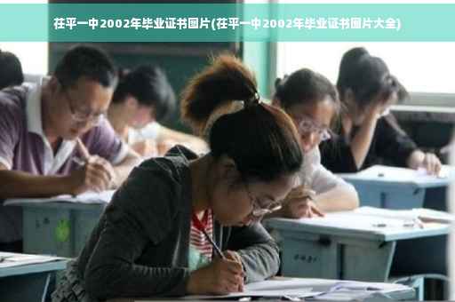 茌平一中2002年毕业证书图片(茌平一中2002年毕业证书图片大全)