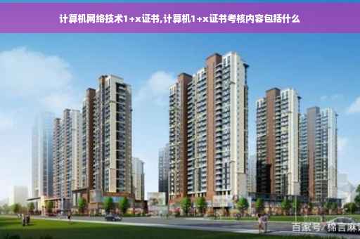 计算机网络技术1+x证书,计算机1+x证书考核内容包括什么