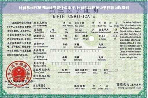 计算机程序员四级证书是什么水平,计算机程序员证书在哪可以查到