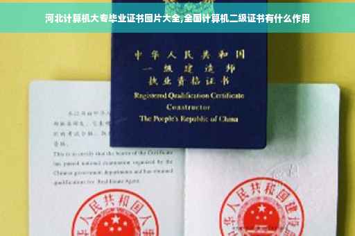 河北计算机大专毕业证书图片大全,全国计算机二级证书有什么作用