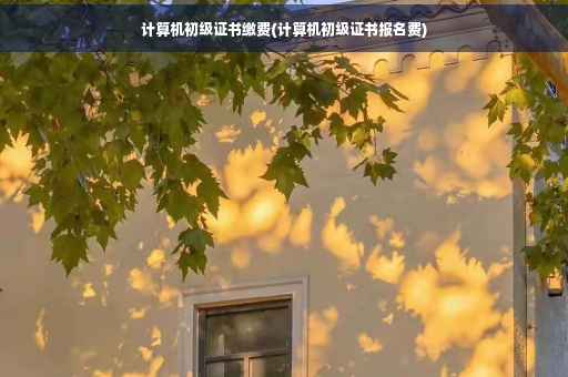 计算机初级证书缴费(计算机初级证书报名费)