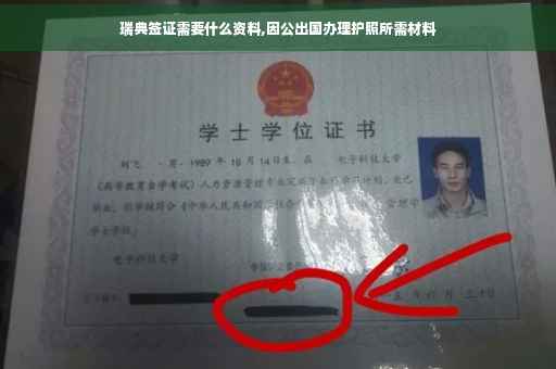 瑞典签证需要什么资料,因公出国办理护照所需材料