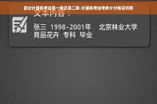 初次计算机考试是一级还是二级-计算机考试考多少分有证书啊