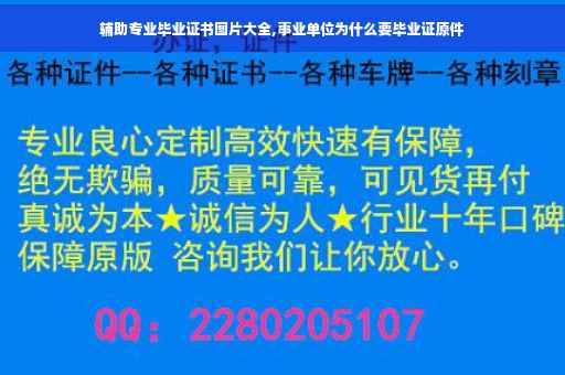 辅助专业毕业证书图片大全,事业单位为什么要毕业证原件