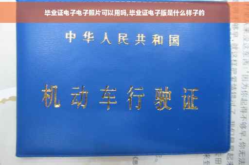 毕业证电子电子照片可以用吗,毕业证电子版是什么样子的