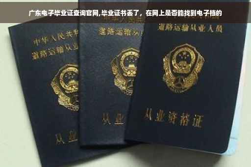 广东电子毕业证查询官网,毕业证书丢了，在网上是否能找到电子档的