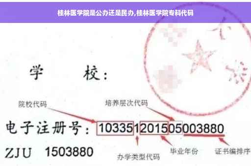 桂林医学院是公办还是民办,桂林医学院专科代码