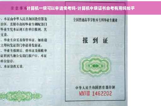 计算机一级可以申请免考吗-计算机中级证书自考有用吗知乎
