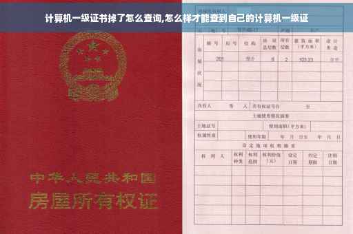 计算机一级证书掉了怎么查询,怎么样才能查到自己的计算机一级证
