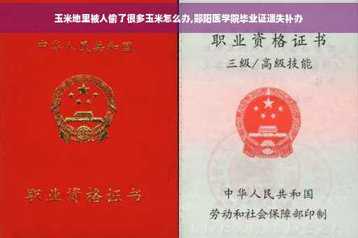 玉米地里被人偷了很多玉米怎么办,郧阳医学院毕业证遗失补办