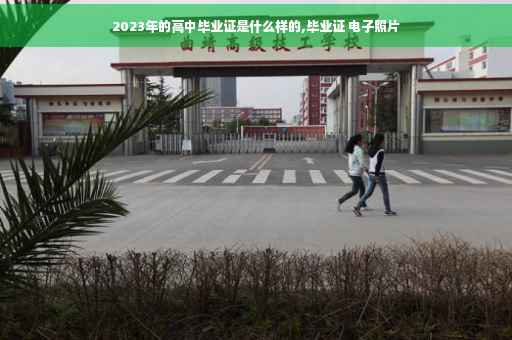 2023年的高中毕业证是什么样的,毕业证 电子照片
