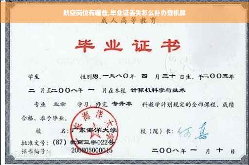 航空岗位有哪些,毕业证丢失怎么补办登机牌