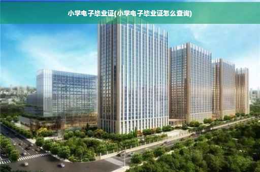 小学电子毕业证(小学电子毕业证怎么查询) 小学电子毕业证(小学电子毕业证怎么查询)