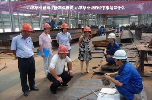 小学毕业证电子版怎么查询,小学毕业证的证书编号是什么