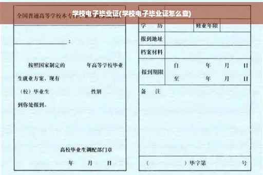 学校电子毕业证(学校电子毕业证怎么查)