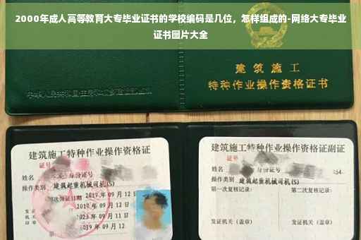 2000年成人高等教育大专毕业证书的学校编码是几位，怎样组成的-网络大专毕业证书图片大全