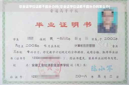 毕业证学位证都不能补办吗(毕业证学位证都不能补办吗怎么办)
