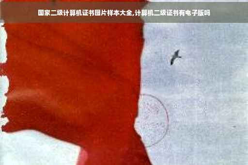 国家二级计算机证书图片样本大全,计算机二级证书有电子版吗