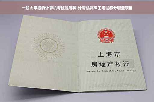 一般大学报的计算机考试是哪种,计算机高级工考试都分哪些项目