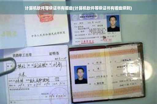 计算机软件等级证书有哪些(计算机软件等级证书有哪些级别)