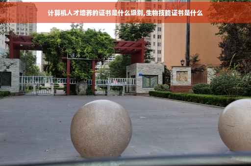 计算机人才培养的证书是什么级别,生物技能证书是什么