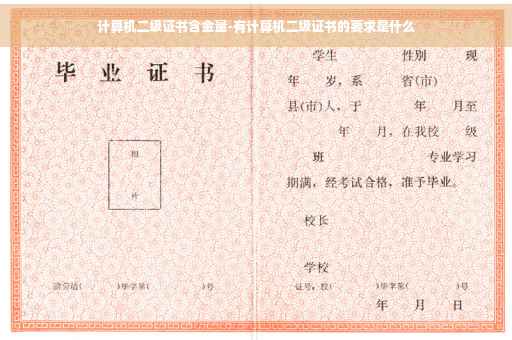 计算机二级证书含金量-有计算机二级证书的要求是什么