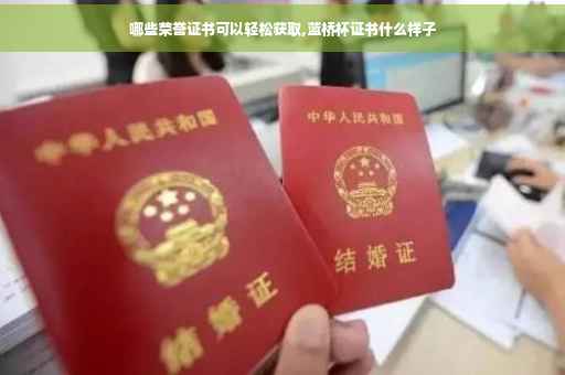 哪些荣誉证书可以轻松获取,蓝桥杯证书什么样子