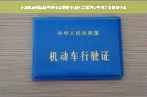 计算机证等级证书是什么样的-计算机二级的证书照片要求是什么