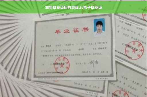 拿到毕业证后的流程,ic电子毕业证