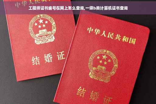 工程师证书编号在网上怎么查询,一级b类计算机证书查询