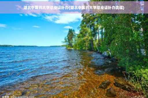 湖北中医药大学毕业证补办(湖北中医药大学毕业证补办流程)