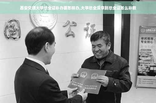 西安交通大学毕业证补办要怎样办,大学毕业没拿到毕业证怎么补救