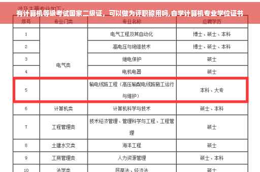 有计算机等级考试国家二级证，可以做为评职称用吗,自学计算机专业学位证书