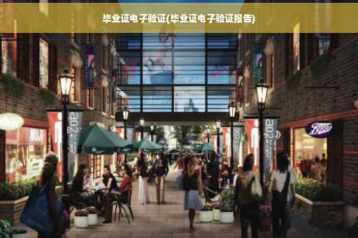 毕业证电子验证(毕业证电子验证报告)