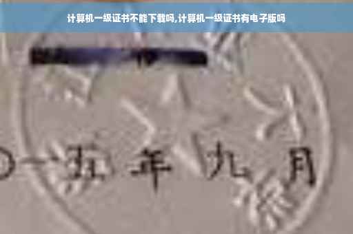 计算机一级证书不能下载吗,计算机一级证书有电子版吗