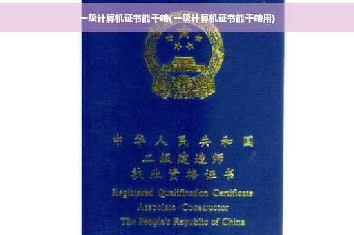 一级计算机证书能干啥(一级计算机证书能干啥用)