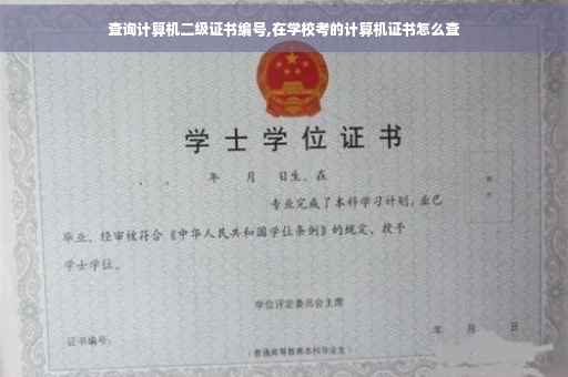 查询计算机二级证书编号,在学校考的计算机证书怎么查