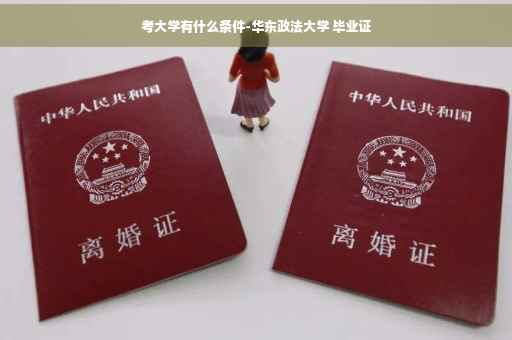 考大学有什么条件-华东政法大学 毕业证
