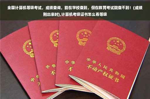 全国计算机等级考试，成绩查询，能在学校查到，但在教育考试院查不到！(成绩刚出来时),计算机考级证书怎么看等级