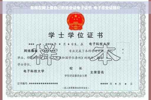 怎样在网上查自己的毕业证电子证书-电子毕业证图片