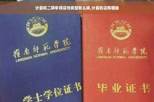 计算机二级申领证书类型怎么填,计算机证有哪些