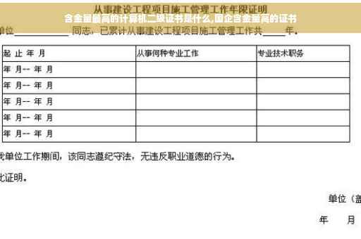 含金量最高的计算机二级证书是什么,国企含金量高的证书